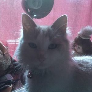 Meet your Posher, Marisol